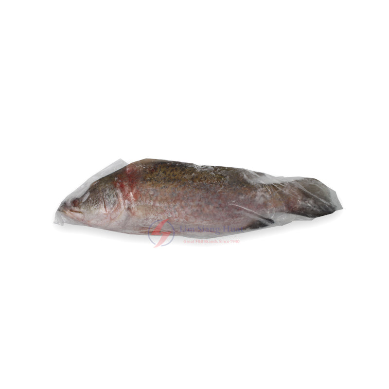 Frozen Seabass 800g