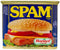 SPAM Pork Luncheon Meat 340gm