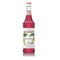 Grenadine Syrup Monin 700ml - LimSiangHuat